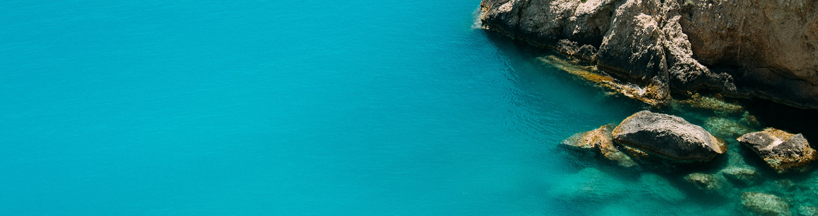 蔻面伊人创始人