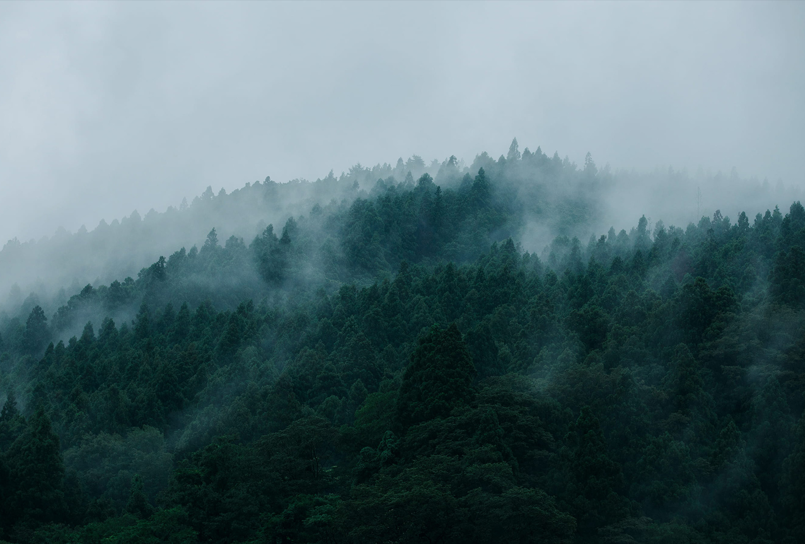 自然的力量 超乎你想象